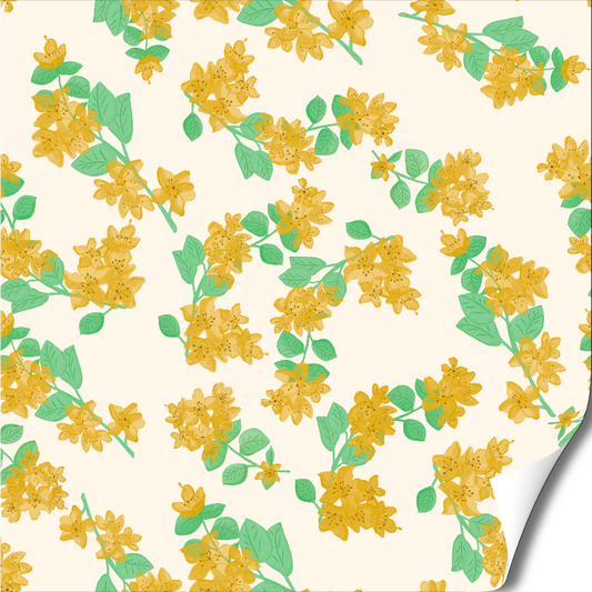 toque amarelo